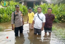 Cepat Tanggap Atasi Banjir di Kecamatan Muara Batang Toru Lurah Muara Manompas M. Padli Memang Baik