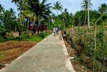 Desa sabungan sipabangun, Sukses Dalam mewujudkan Program pemerintah