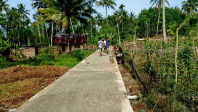 Desa sabungan sipabangun, Sukses Dalam mewujudkan Program pemerintah