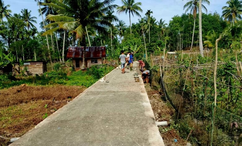 Desa sabungan sipabangun, Sukses Dalam mewujudkan Program pemerintah