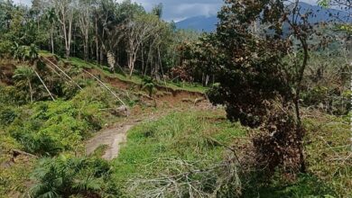 Mimpi Seorang Nenek Sebelum bencana Di desa Tandihat Tapanuli selatan