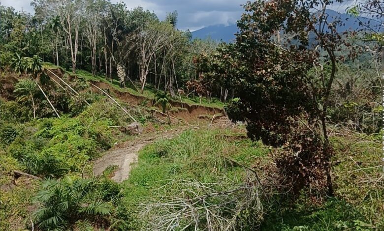 Mimpi Seorang Nenek Sebelum bencana Di desa Tandihat Tapanuli selatan