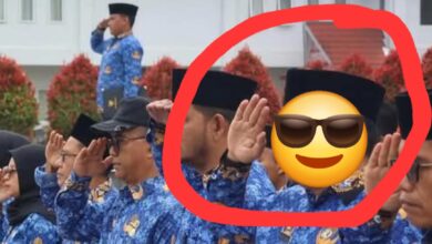 ASN kabupaten Tapanuli selatan, Butuh Pembinaan cara penghormatan yang benar, Bupati Harus tanggap Dalam Hal ni