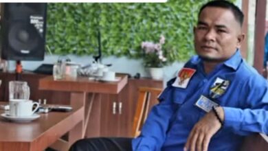 Selamat Dan Sukses, Adi Aman Nasution Sebagai katua Dewan Pengurus DPD KNPI Kabupaten Padang Lawas